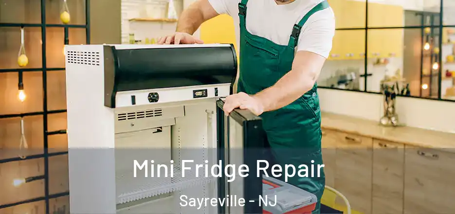 Mini Fridge Repair Sayreville - NJ